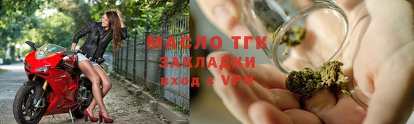 стаф Медногорск