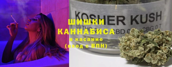 стаф Медногорск