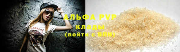 стаф Медногорск