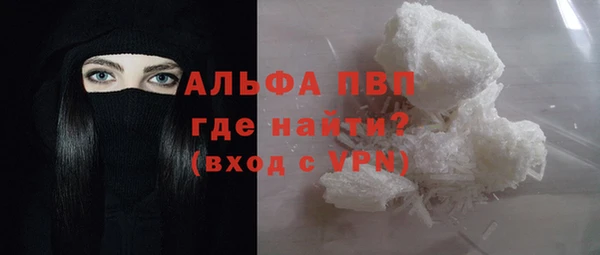 стаф Медногорск