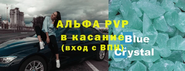 стаф Медногорск
