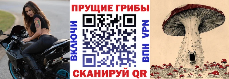 Псилоцибиновые грибы GOLDEN TEACHER  наркошоп  Благодарный 