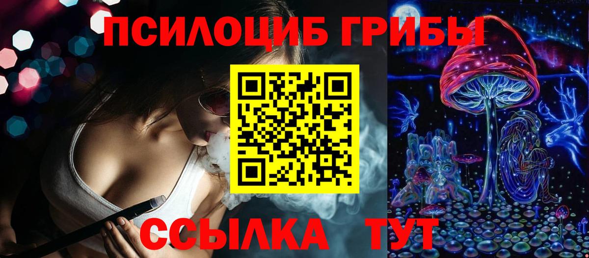 дарнет шоп  Галлюциногенные грибы GOLDEN TEACHER  Вход с VPN  Благодарный  Псилоцибиновые грибы мицелий 