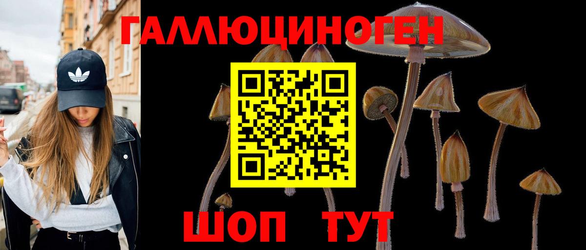 Псилоцибиновые грибы GOLDEN TEACHER Благодарный